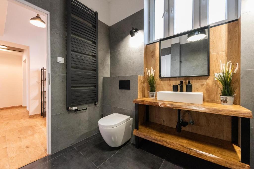 Апартаменты Apartament Loft Бельско-Бяла Экстерьер фото
